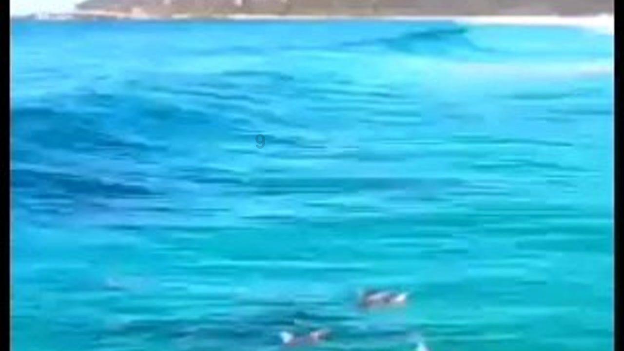 探索世界的奇妙之旅,尽在哪张更好看